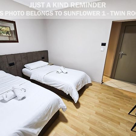 Sunflower Rooms Τίρανα Εξωτερικό φωτογραφία