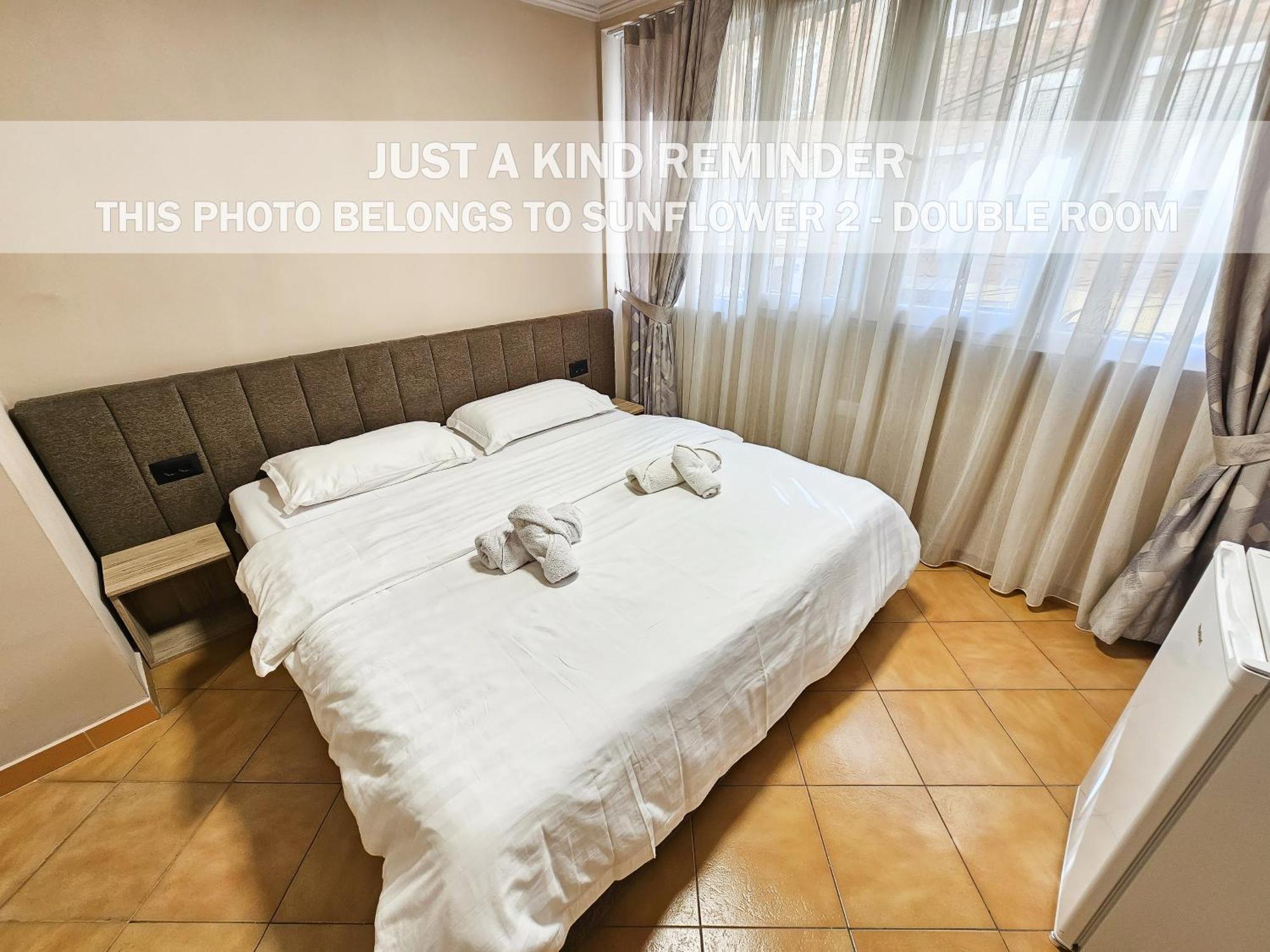 Sunflower Rooms Τίρανα Εξωτερικό φωτογραφία