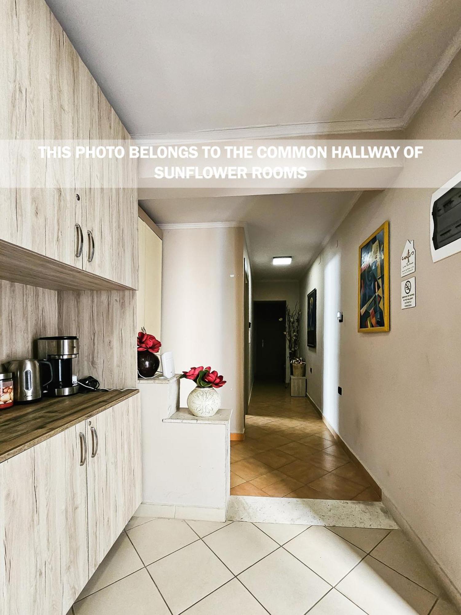 Sunflower Rooms Τίρανα Εξωτερικό φωτογραφία